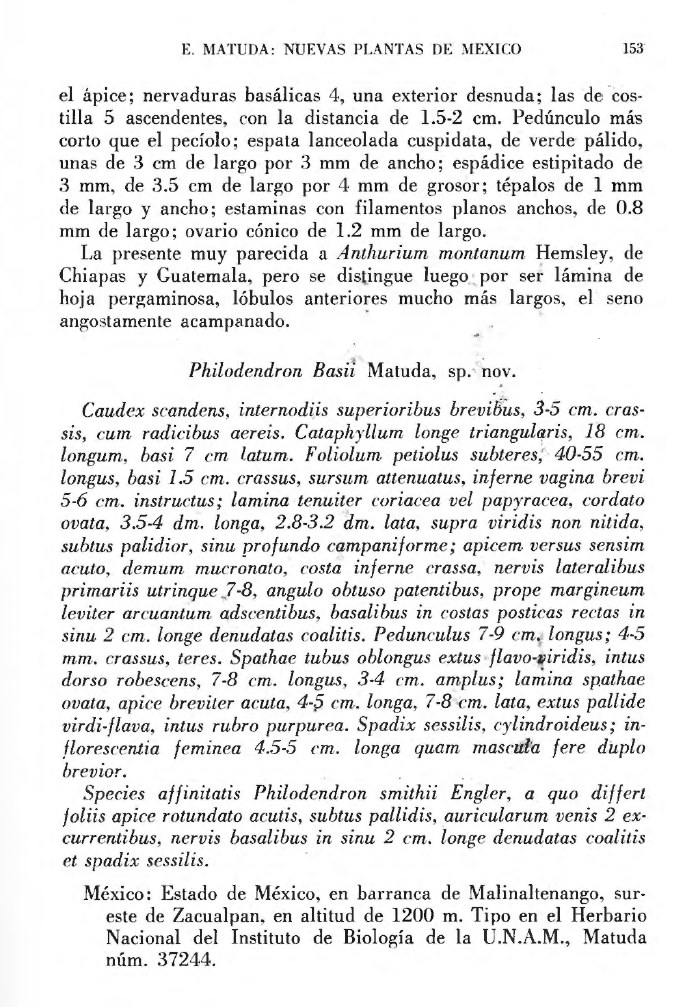 Página del artículo de Eizi Matuda con la descripción de Philodendron basii