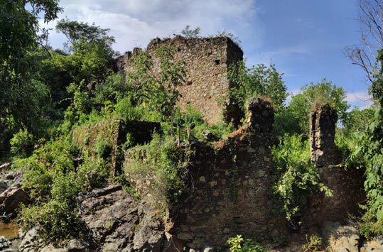 Muros de piedra cubiertos por vegetación en la antigua Hacienda de Acevedotla