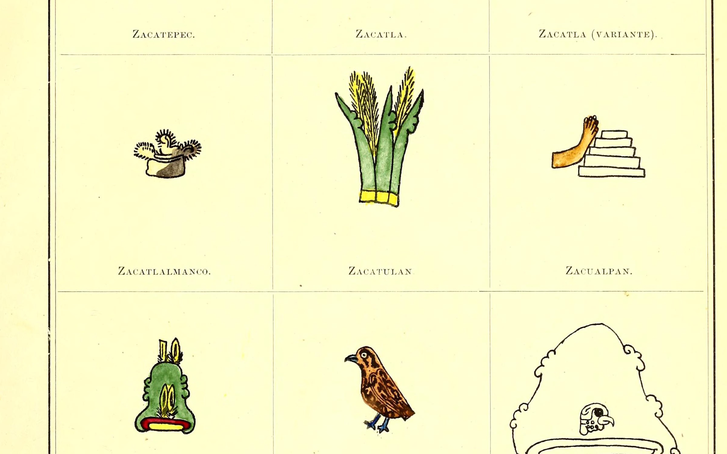 Zacualpan antes de llamarse Zacualpan: el nombre náhuatl y la historia de su glifo