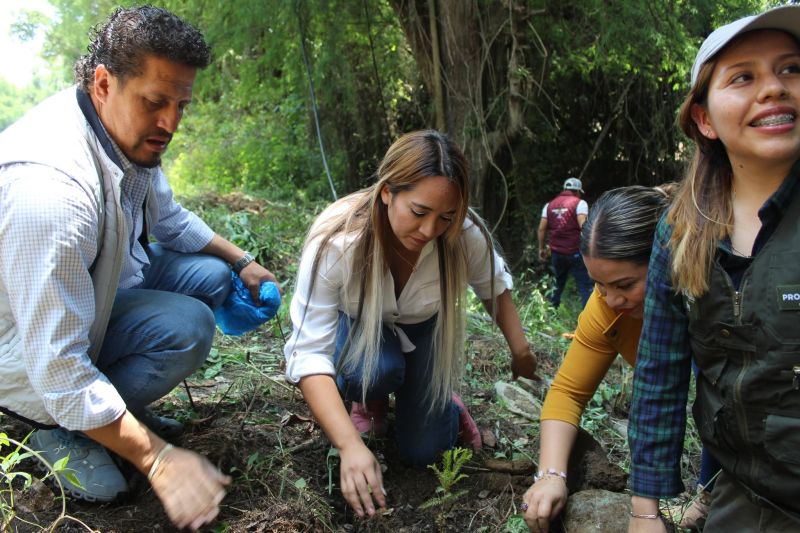 Autoridades y habitantes durante las acciones de restauración ambiental